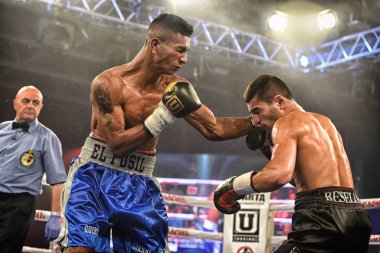 Kiev, Ukrayna - 16 Eylül 2017: Sparta boks Haritayı dahil altı sıralaması mücadele. Milli Güvenlik'Olimpiyskiy, Kiev, Ukrayna sıralaması için kavga sırasında halka tanımlanamayan bir boksörler