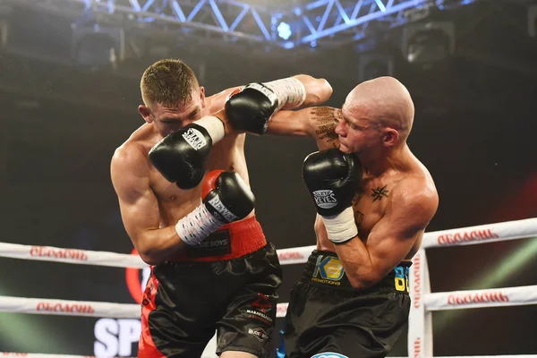Kyiv Ukraine September 2017 Sparta Boxing Show Included Six Ranking — Stock Photo, Image