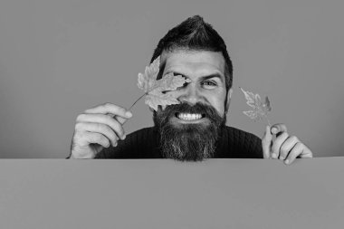 Sonbahar ve soğuk hava kavramı. Ekim ve Kasım zamanı