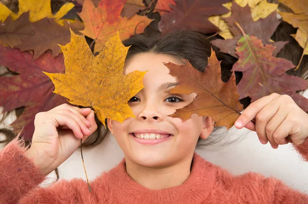 Child enjoy fall season. Girl cute kid lay on orange background with fallen leaves. Dry maple leaves in her hairstyle. Fall season concept. Hair care in autumn tips and ideas. Fall is on her mind — Stock Photo, Image