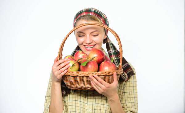 Женщина садовник деревенский стиль держать корзину с яблоками на белом фоне. Женщина веселый сельский житель нести корзину с натуральными фруктами. Фермер-садовница гордится своим урожаем. Концепция сбора урожая
