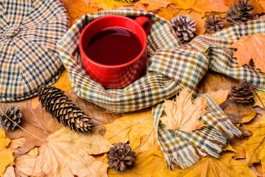 Çay bir fincan eşarp düşmüş akçaağaç yaprakları ve köknar koniler ile arka plan ile çevrili kaplı. Kupa rahat aromatik çay içecek atkı ve şapka. Sonbahar yürüyüş için sıcak bir içecek. İçecek ısınma