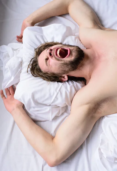 Let your body feel comfortable. Man unshaven handsome guy naked torso sleep nap on bed. Guy sexy macho lay white bedclothes. Man sleepy unshaven bearded face sleep has rest. Pleasant dream concept — Stock Photo, Image