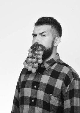 Çiftçilik ve bahçıvanlık. Adam hasatını gösteriyor..