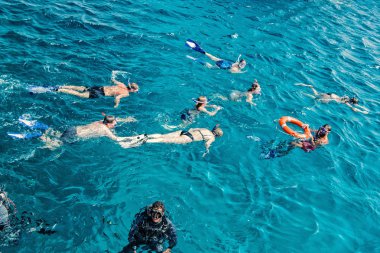 Bir grup insan sualtı Yüzme Hurghada, Mısır