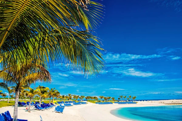 Côte avec chaises longues sur sable blanc — Photo