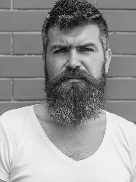 Hur man odlar stora skägg. Skägg, grooming har aldrig varit så lätt. Beard vård tricks kommer att hålla ditt ansiktshår ser strålande. Man urban style brutala skäggiga hipster tegel vägg bakgrund närbild — Stockfoto