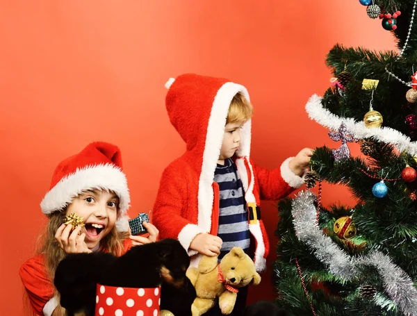 Sorella e fratello fratelli decorano l'albero di Natale — Foto Stock