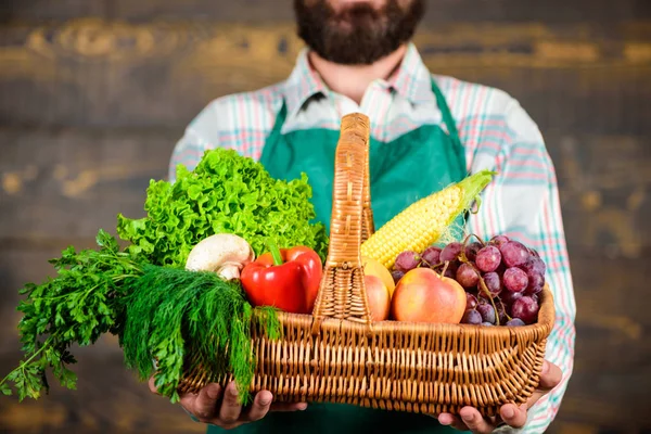 Verduras orgánicas frescas en canasta de mimbre. Agricultor presentando verduras frescas. Agricultor con verduras de cosecha propia en cesta. Hombre barbudo jardinero presentando eco verduras fondo de madera —  Fotos de Stock