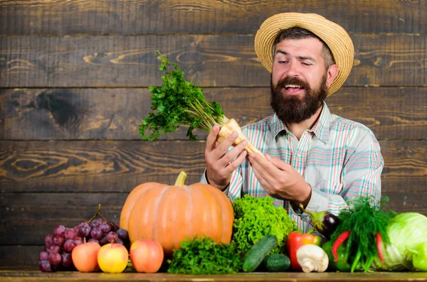 Αγροτική χωριάτικη εμφάνιση. Ο άνθρωπος χαρούμενα γενειοφόρος αγρότης κατέχουν horseradish ξύλινο υπόβαθρο. Καλλιεργήστε βιολογικές καλλιέργειες. Αγρότης ψάθινο καπέλο παρουσιάζει φρέσκα λαχανικά. Γεωργός με εγχώρια συγκομιδή — Φωτογραφία Αρχείου