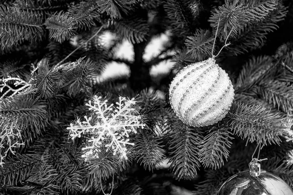 Copo de nieve y bolas en ramas verdes — Foto de Stock