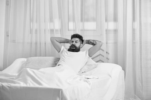 Man in shirt laying on bed, white curtains on background. Guy on satisfied face full of energy in morning. Full of strength and energy concept. Macho with beard hold hands behind head, relaxing