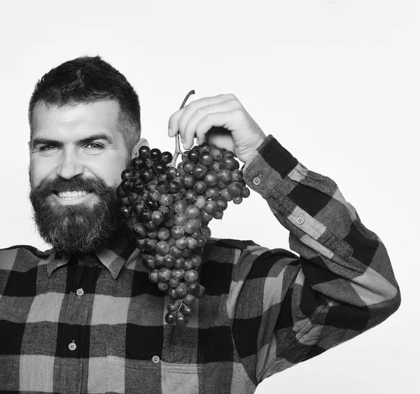 Mann mit Bart hält Strauß lila Trauben in der Hand — Stockfoto