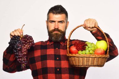 Ciddi yüzlü çiftçi elma, kızılcık ve üzüm sunar..