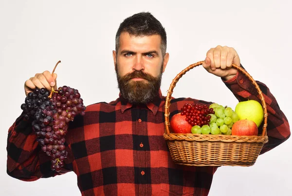 Αγρότης με σοβαρό πρόσωπο παρουσιάζει μήλα, cranberries και σταφύλια. — Φωτογραφία Αρχείου