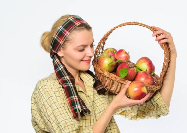 Kadın bahçıvan rustik tarzı sepeti elmalı beyaz arka plan üzerinde tutun. Yemek tarifi kavramı. Kadın köylü doğal meyve sepeti taşımak. Bayan farmer bahçıvan biliyorum nasıl elma ile birçok tarifleri cook