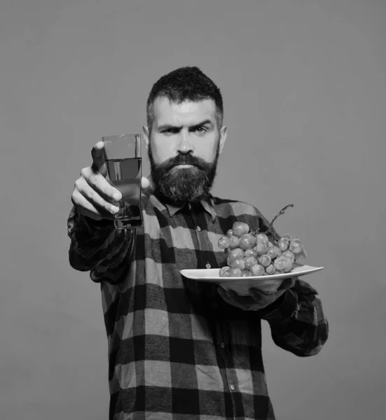 Mann zeigt sein Ernteprodukt. Bauer mit ernstem Gesicht — Stockfoto