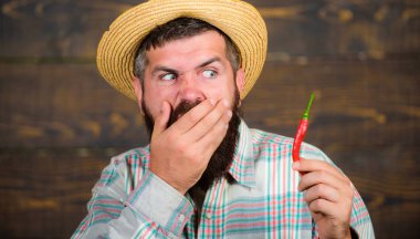 Hasır şapkalı köylü çiftçi baharatlı tadı seviyor. Biber toplayan adam. Çiftçi, kırmızı biberli ahşap arka planda sunum yapıyor. Sakallı çiftçi elinde biber tutuyor. Biber hasat konsepti