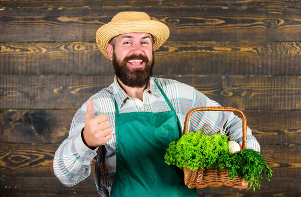 Frisches Bio-Gemüse im Weidenkorb. Mann bärtigen Bauern präsentiert Öko-Gemüse hölzernen Hintergrund. Lieferservice liefert frisches Gemüse. Bauer mit Strohhut liefert frisches Gemüse — Stockfoto