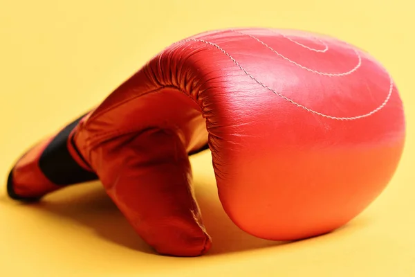 Leather box equipment for fight and training.