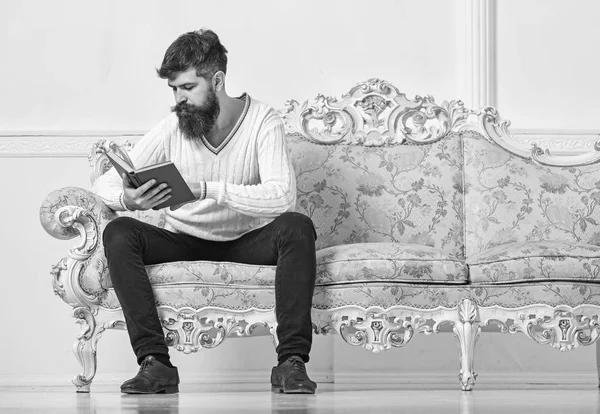 Self improvement concept. Macho on concentrated face reading book. Guy reading book with attention. Man with beard and mustache sits on baroque style sofa, holds book, white wall background — Stock Photo, Image