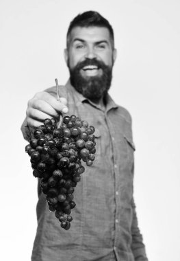 Çiftçi hasatını gösteriyor. Hayvanat bahçesi ve bahçecilik konsepti