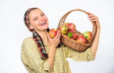 Kadın samimi köylü ile doğal meyve sepeti taşımak. Bayan farmer bahçıvan onu hasat gurur. Kadın bahçıvan rustik tarzı sepet elma ve beyaz arka plan tutun. Çevre dostu ürün kavramı
