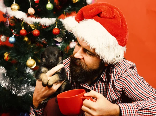 Guy with curious face cuddles with doggy with Christmas tree