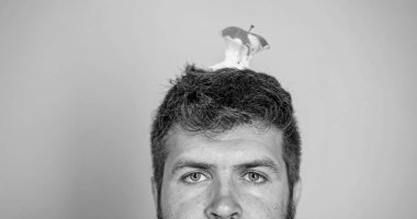 Canlı hedef kavramı. Adam yakışıklı hipster uzun sakal neredeyse kafasına elma güdük hedef olarak yem. Kilo kaybı gol. Hipster sakin yorgun yüz ile baş mavi arka plan, elma güdük hedefe yakın çekim