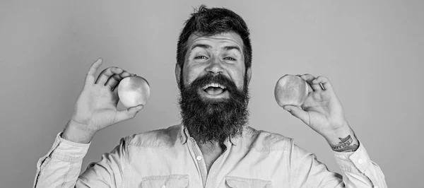 Gezond alternatief. Man met baard die lacht houdt appels in handen blauwe achtergrond. Gezondheidszorg vitamine voeding dieet. Appels in beide handen gezond alternatief. Volledig gezonde voeding concept — Stockfoto