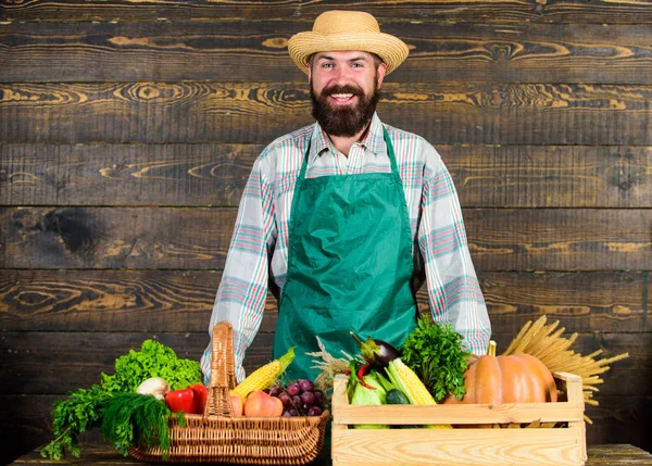 Hombre alegre granjero barbudo cerca de verduras fondo de madera. Sombrero de paja granjero presentando verduras frescas. Agricultor con verduras de cosecha propia. Verduras orgánicas frescas en canasta de mimbre y caja de madera —  Fotos de Stock