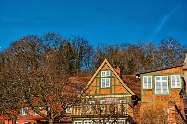 Houses of red bricks in village with bare trees — Stock Photo, Image