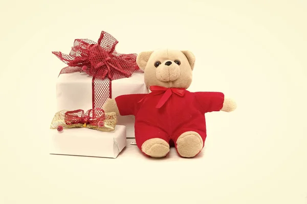 Toy bear and present box in red bow isolated on white — Stock Photo, Image