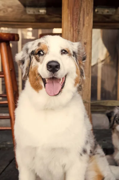 Amigo y amistad — Foto de Stock