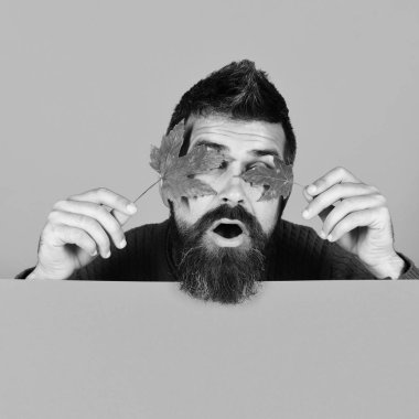 Sakallı adam akçaağaç yapraklarını tutar, gözleri kapatır..