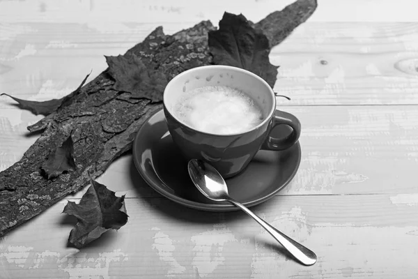 Чашка горячего кофе капучино на деревянном столе с осенними листьями — стоковое фото