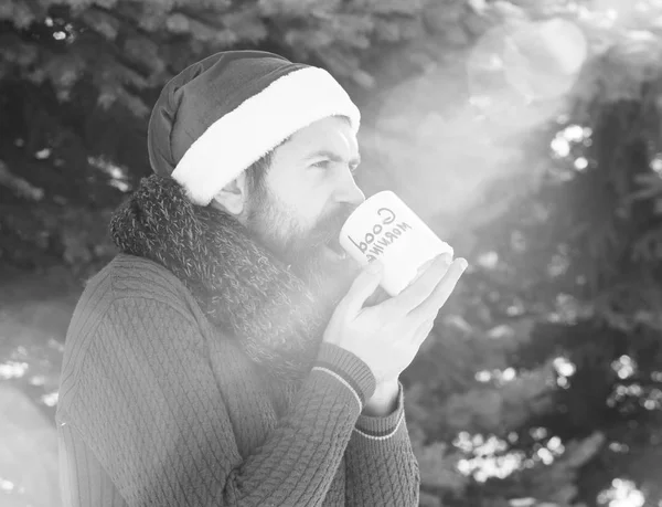 Handsome man in santa claus hat, bearded hipster with beard and moustache drinks from cup with good morning text on sunny winter day outdoors on natural backgroun — Stock Photo, Image