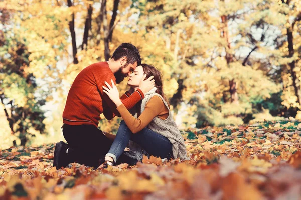 Casal apaixonado por lenços senta-se em folhas no parque — Fotografia de Stock
