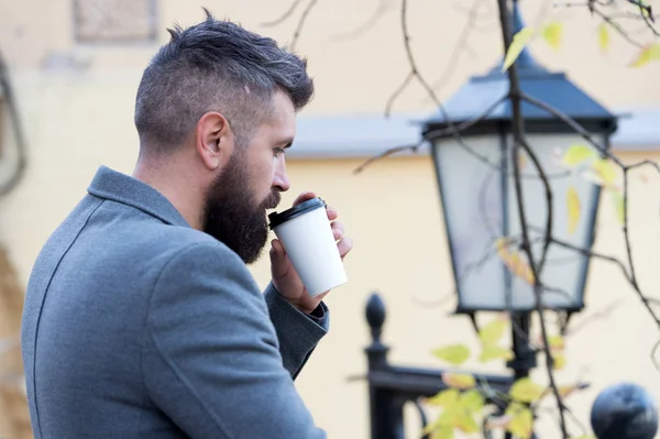 Businessman bearded guy drink coffee outdoors. Hipster hold paper coffee cup and enjoy park environment. Relaxing coffee break. Drink it on the go. Man bearded hipster prefer coffee take away