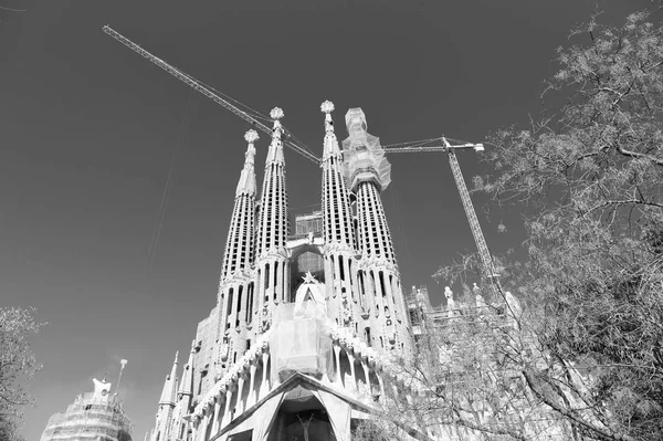 Barcellona, Spagna - 30 marzo 2016: Sagrada familia e gru sul cielo blu. Basilica e chiesa espiatoria della Sacra Famiglia. Cattolico romano. Design Gaudì. Architettura e stile. Punto di riferimento e visite turistiche — Foto Stock