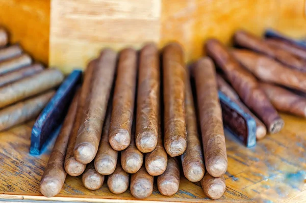 Puro kazık Key West, ABD satılık içinde