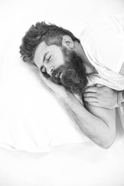 Uykulu yüz adamla yastığın üzerinde yatıyor. Derin uyku kavramı. Sakal ve bıyık derin uyku, beyaz arka planda olan adam. Hipster Uykulu, kopya alanı yatmak istiyor. Hipster sakal sonbahar uykuda ile.