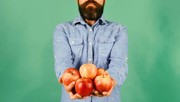 Hombre con barba sostiene fruta roja aislada sobre fondo verde —  Fotos de Stock