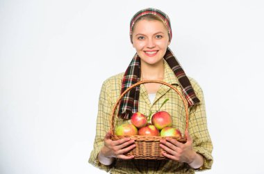 Kadın bahçıvan rustik tarzı sepet beyaz arka plan üzerinde elma hasat ile tutun. Zaman kavramı hasat. Bayan çiftçi ya da bahçıvan onu hasat gurur. Kadın neşeli taşımak ile doğal meyve sepeti