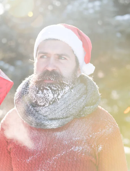 サンタ クロースの帽子、ハンサムな男性髭ひげと口ひげ自然背景がある屋外の明るい晴れた冬の日に白い霜で覆われたヒップ — ストック写真