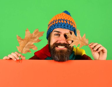 Adam yeşil ve turuncu zemin üzerine meşe yaprakları tutar