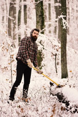 Arka plan üzerinde kar tarafından odun adam ağaçları ile kaplı.