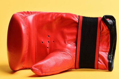 Dövüş ve eğitim için deri kutular. Boks eldivenleri