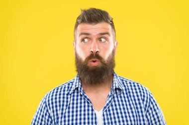 Adam sarı arka plan yakın çekim hipster merak yüz sakallı. Adam yüz ifadesi şaşırttı. Sakal ve bıyık duygusal sürpriz ifade ile hippi. Rustik sürpriz maço. Şaşırtıcı haberler