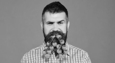 Sakallı bir adam yeşil arka planda ağzında sebze tutuyor..